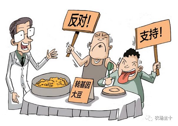揭秘真相，转基因食品与不孕不育的谣言