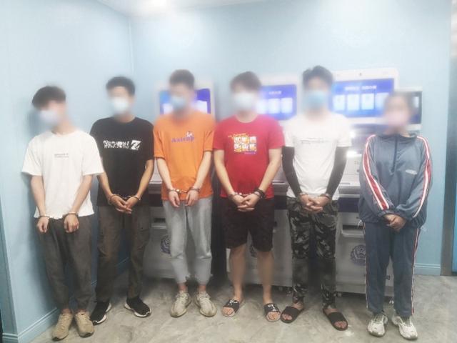 65岁独居阿姨的网恋陷阱，揭露网络诈骗的黑暗面
